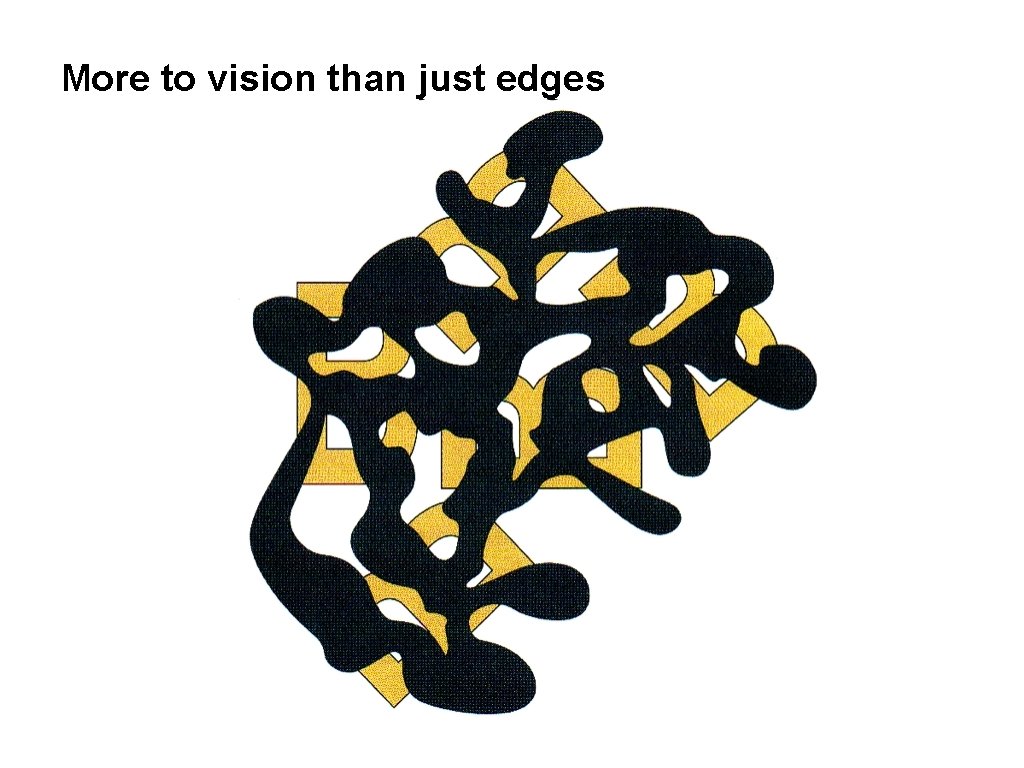 More to vision than just edges 