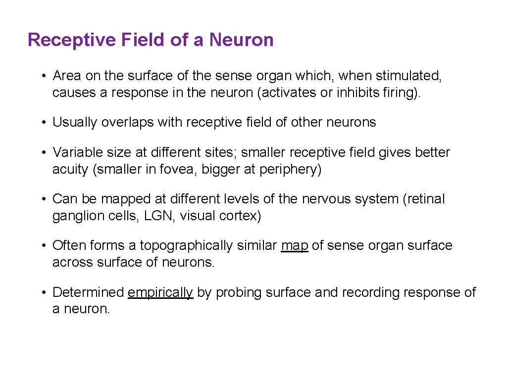Receptive Field of a Neuron • Area on the surface of the sense organ