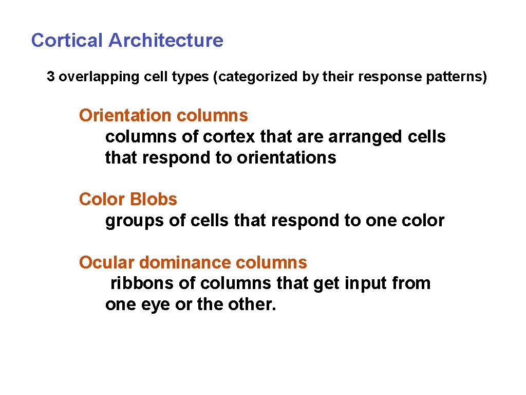 Cortical Architecture 3 overlapping cell types (categorized by their response patterns) Orientation columns of