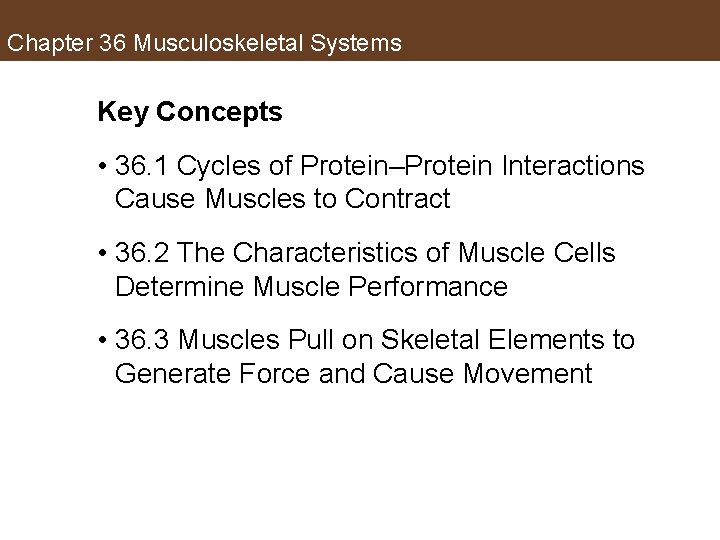 Chapter 36 Musculoskeletal Systems Key Concepts • 36. 1 Cycles of Protein–Protein Interactions Cause