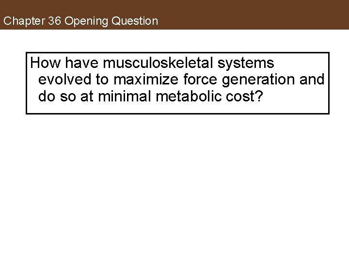 Chapter 36 Opening Question How have musculoskeletal systems evolved to maximize force generation and