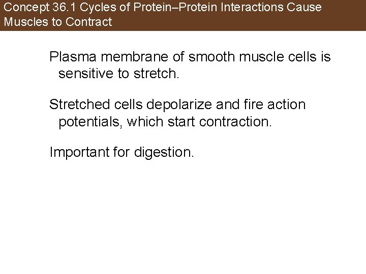 Concept 36. 1 Cycles of Protein–Protein Interactions Cause Muscles to Contract Plasma membrane of