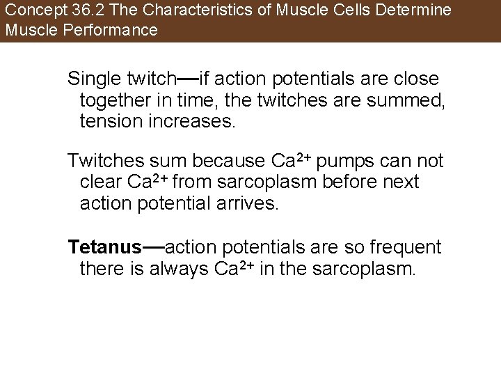 Concept 36. 2 The Characteristics of Muscle Cells Determine Muscle Performance Single twitch—if action