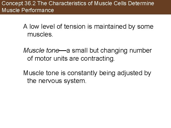 Concept 36. 2 The Characteristics of Muscle Cells Determine Muscle Performance A low level
