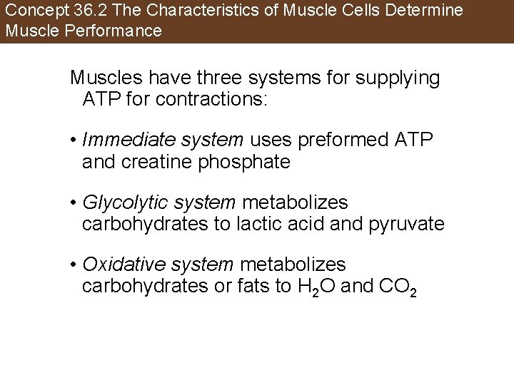 Concept 36. 2 The Characteristics of Muscle Cells Determine Muscle Performance Muscles have three