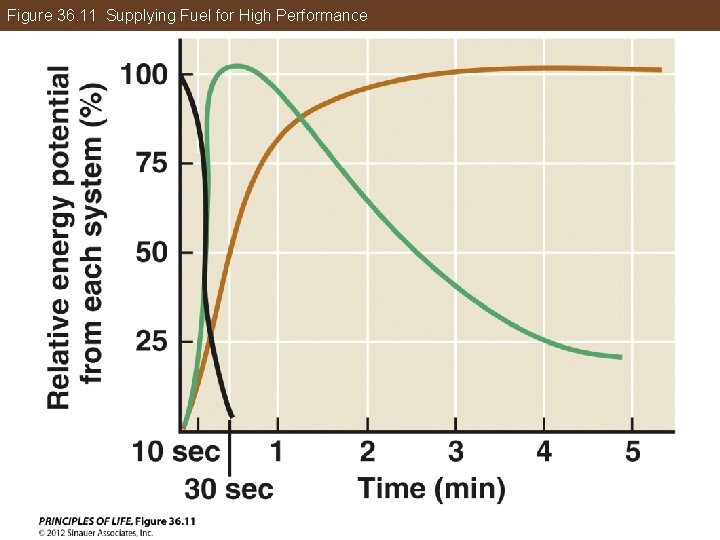 Figure 36. 11 Supplying Fuel for High Performance 