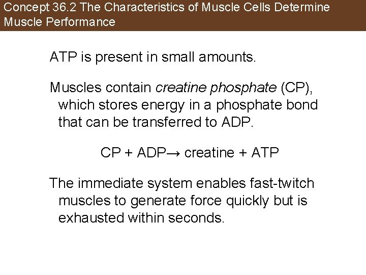 Concept 36. 2 The Characteristics of Muscle Cells Determine Muscle Performance ATP is present