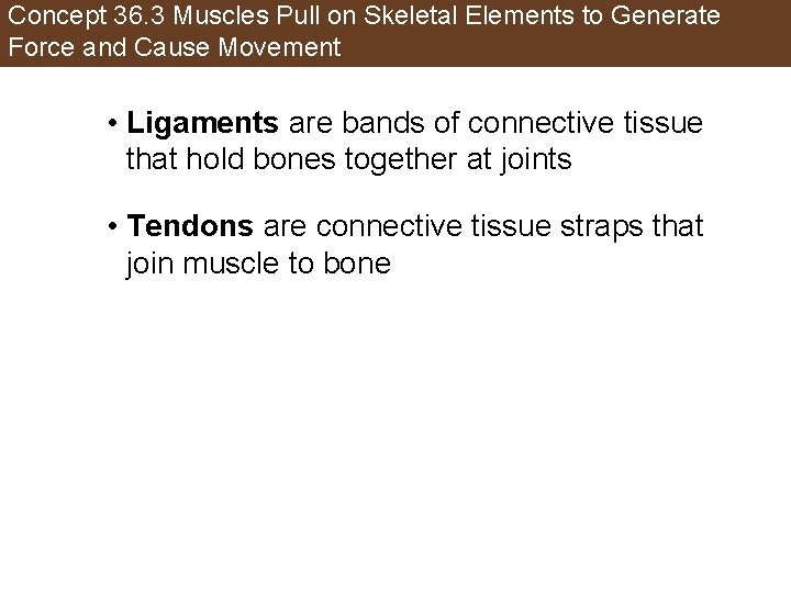 Concept 36. 3 Muscles Pull on Skeletal Elements to Generate Force and Cause Movement