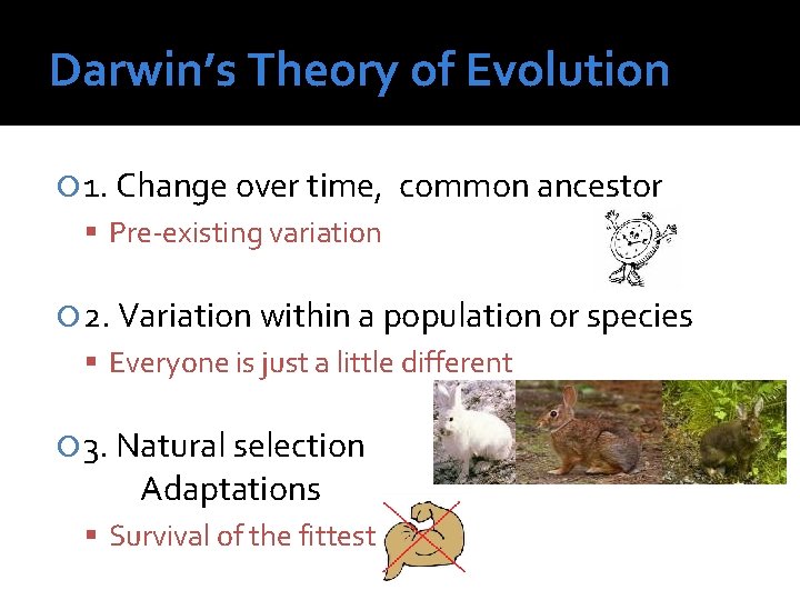 Darwin’s Theory of Evolution 1. Change over time, common ancestor Pre-existing variation 2. Variation