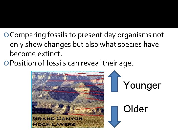  Comparing fossils to present day organisms not only show changes but also what