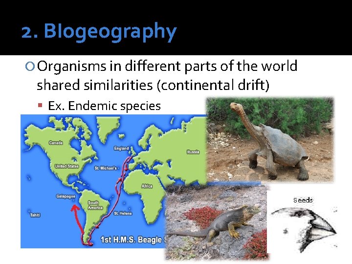 2. BIogeography Organisms in different parts of the world shared similarities (continental drift) Ex.