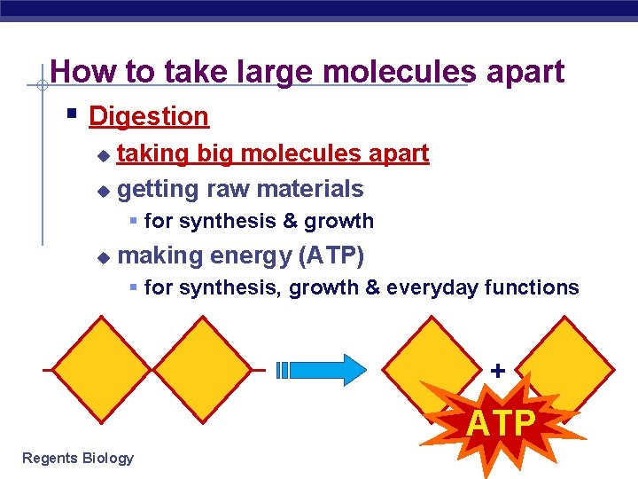 How to take large molecules apart § Digestion taking big molecules apart u getting