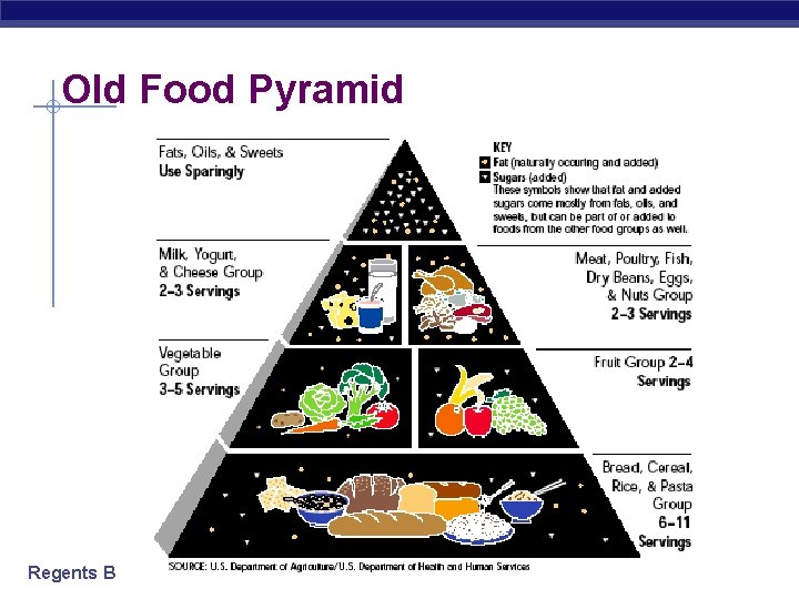 Old Food Pyramid Regents Biology 