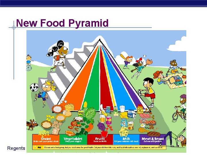 New Food Pyramid Regents Biology 