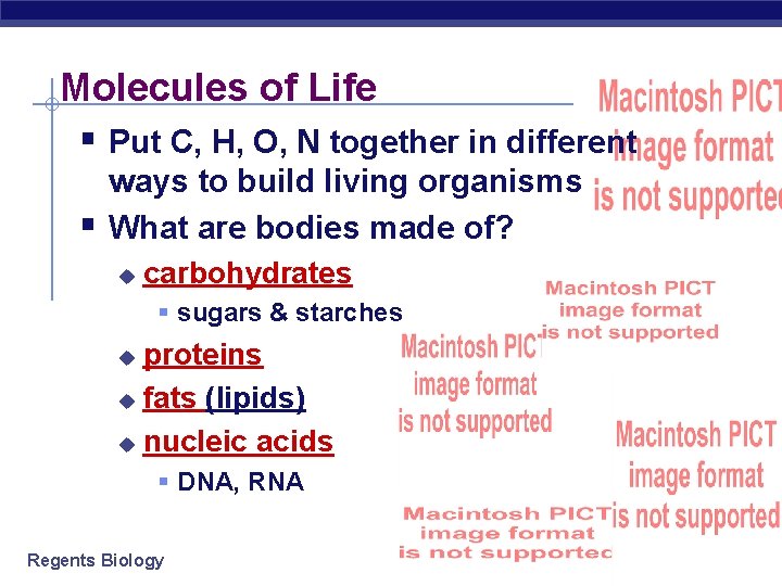 Molecules of Life § Put C, H, O, N together in different § ways