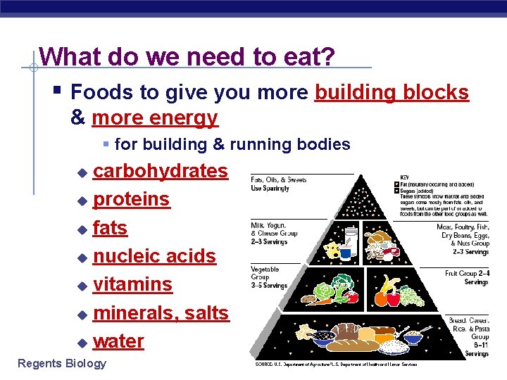 What do we need to eat? § Foods to give you more building blocks