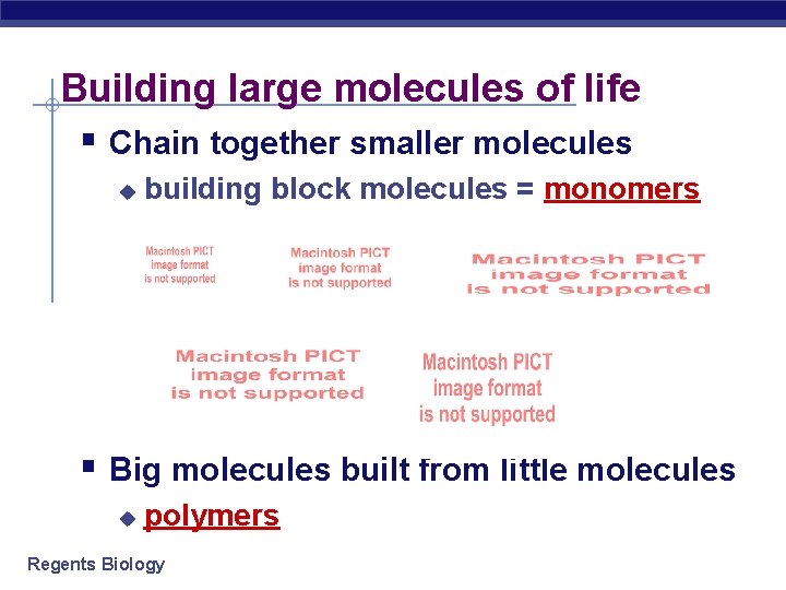 Building large molecules of life § Chain together smaller molecules u building block molecules