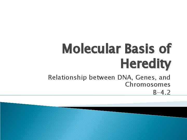 Molecular Basis of Heredity Relationship between DNA, Genes, and Chromosomes B-4. 2 