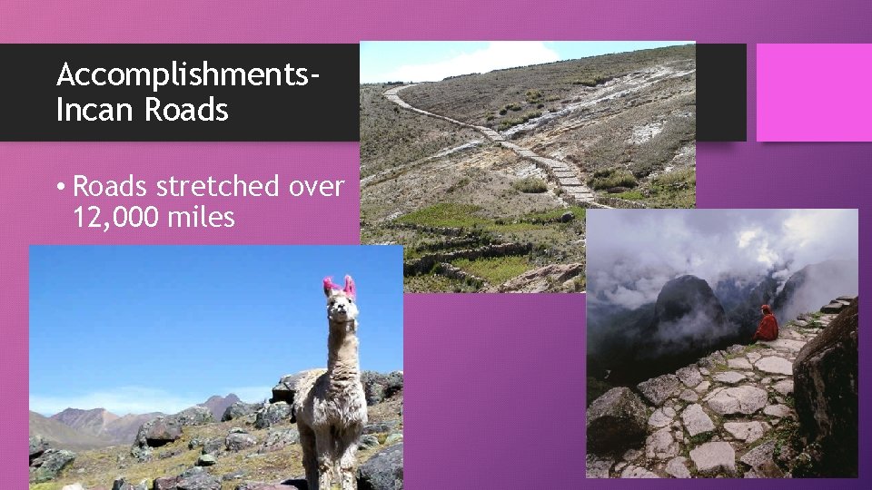 Accomplishments. Incan Roads • Roads stretched over 12, 000 miles • Didn’t use wheeled