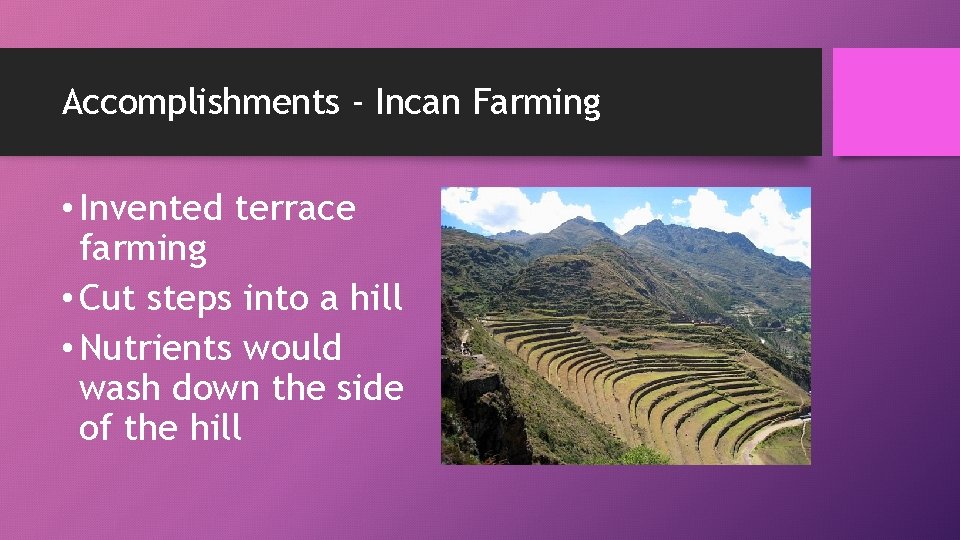 Accomplishments - Incan Farming • Invented terrace farming • Cut steps into a hill