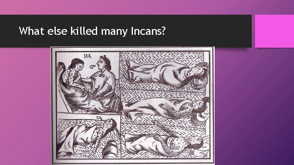 What else killed many Incans? 
