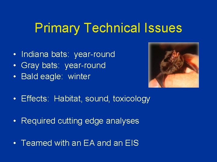 Primary Technical Issues • Indiana bats: year-round • Gray bats: year-round • Bald eagle: