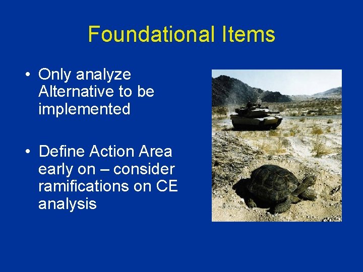 Foundational Items • Only analyze Alternative to be implemented • Define Action Area early