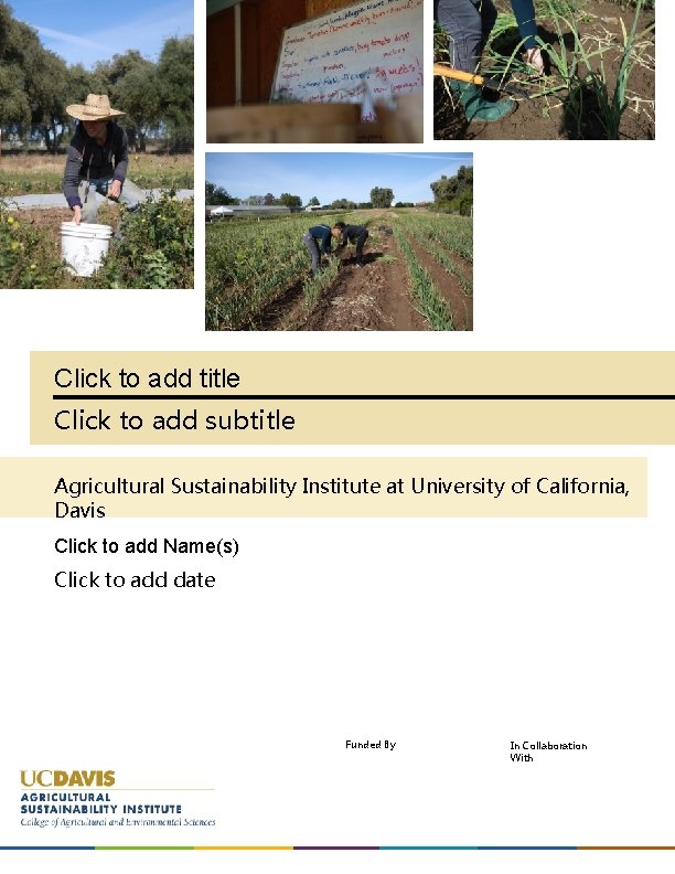 Click to add title Click to add subtitle Agricultural Sustainability Institute at University of
