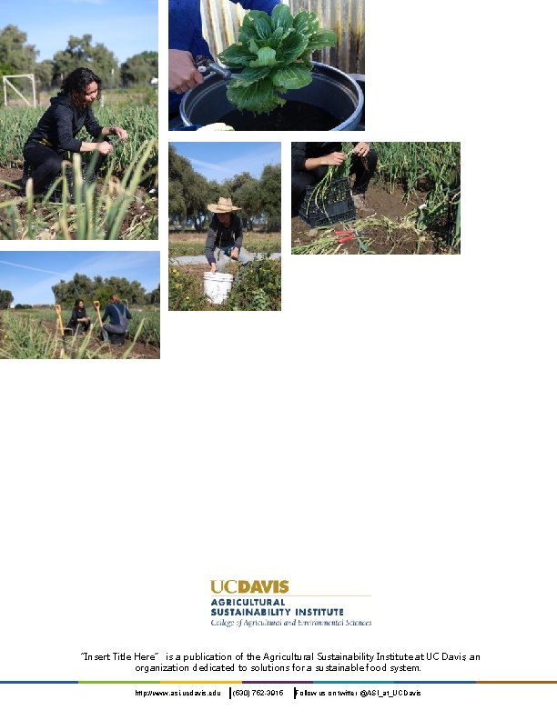 “Insert Title Here” is a publication of the Agricultural Sustainability Institute at UC Davis,