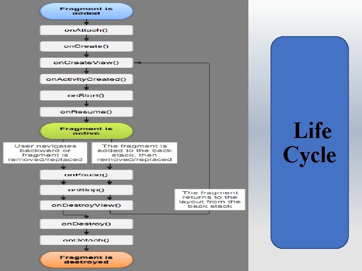 Life Cycle 