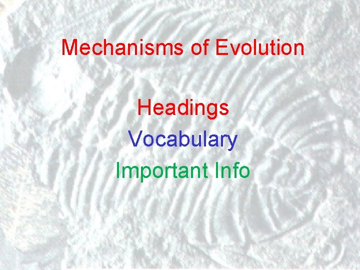 Mechanisms of Evolution Headings Vocabulary Important Info 