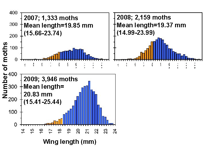 Number of moths 2007; 1, 333 moths Mean length=19. 85 mm (15. 66 -23.