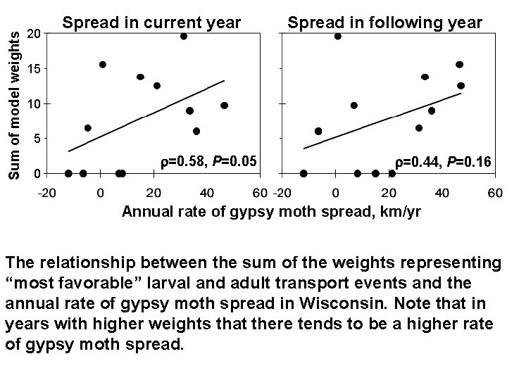 Sum of model weights 20 Spread in current year Spread in following year 15