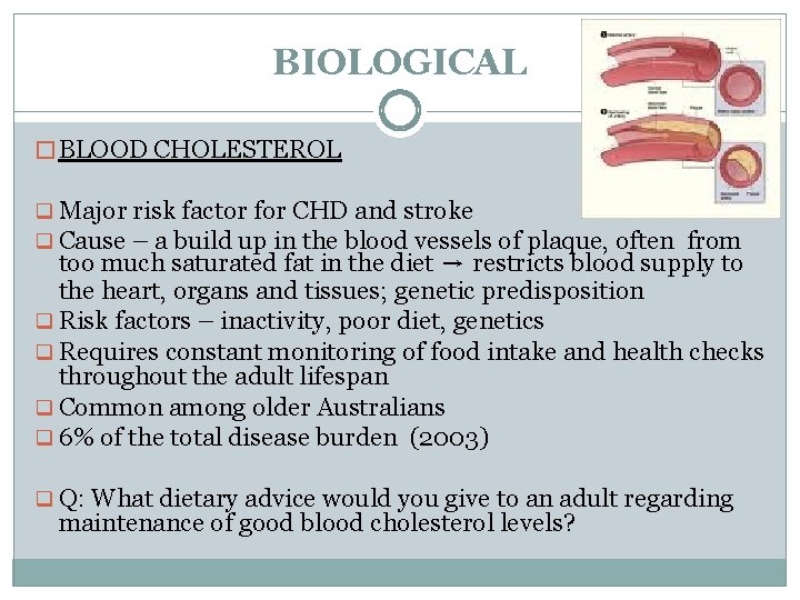 BIOLOGICAL � BLOOD CHOLESTEROL q Major risk factor for CHD and stroke q Cause