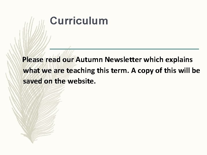 Curriculum Please read our Autumn Newsletter which explains what we are teaching this term.
