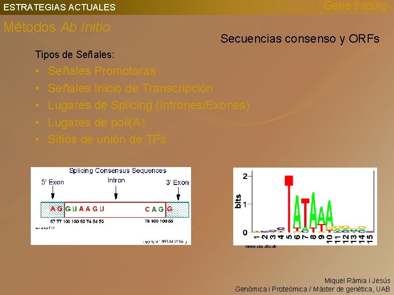 Gene finding ESTRATEGIAS ACTUALES Métodos Ab Initio Secuencias consenso y ORFs Tipos de Señales: