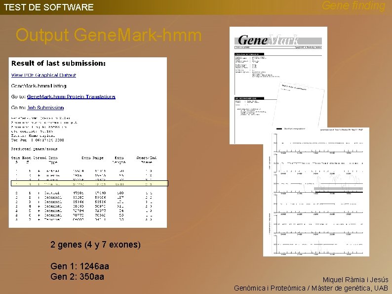 TEST DE SOFTWARE Gene finding Output Gene. Mark-hmm 2 genes (4 y 7 exones)