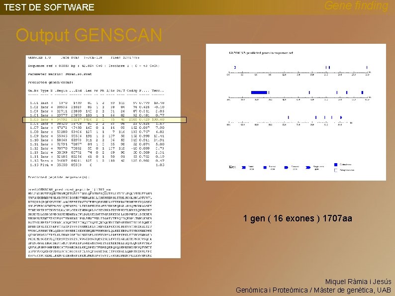 TEST DE SOFTWARE Gene finding Output GENSCAN 1 gen ( 16 exones ) 1707
