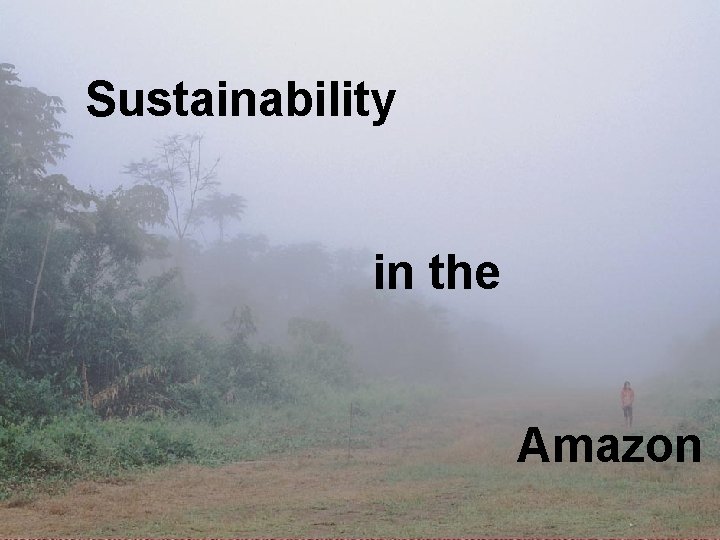 Sustainability in the Amazon 