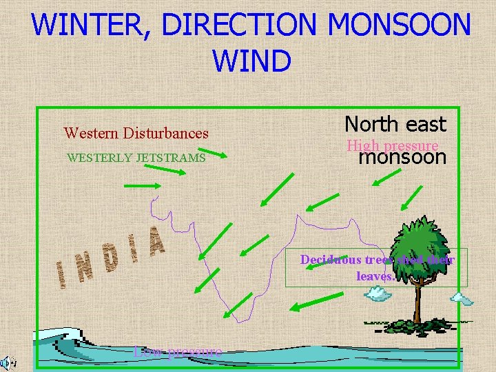 WINTER, DIRECTION MONSOON WIND Western Disturbances WESTERLY JETSTRAMS North east High pressure monsoon Deciduous WINTER, DIRECTION MONSOON WIND Western Disturbances WESTERLY JETSTRAMS North east High pressure monsoon Deciduous