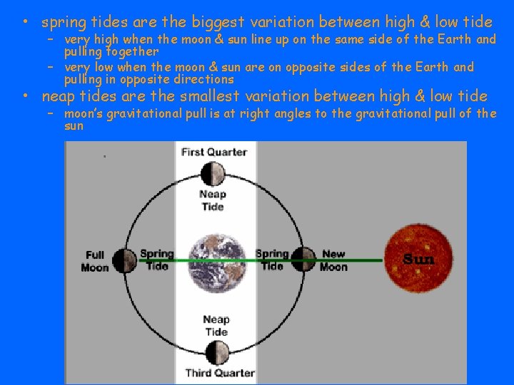  • spring tides are the biggest variation between high & low tide –