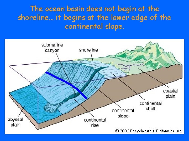 The ocean basin does not begin at the shoreline… it begins at the lower