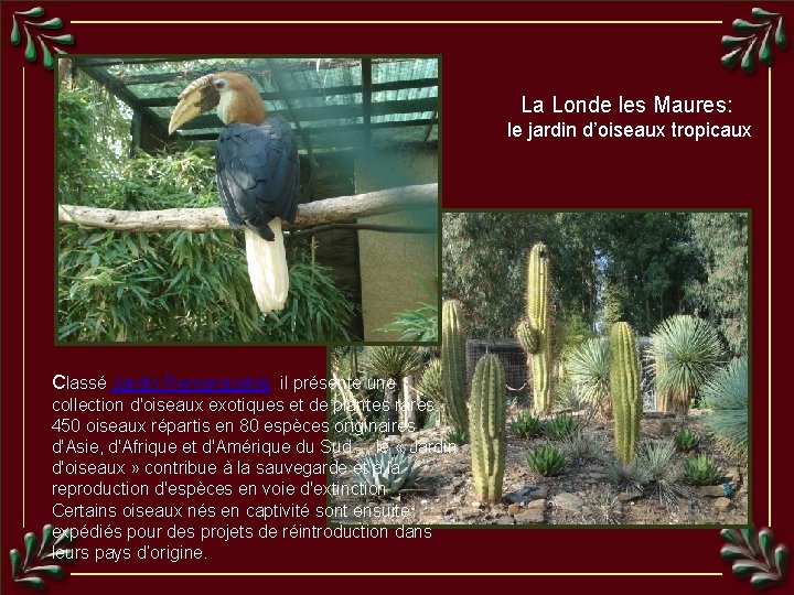 La Londe les Maures: le jardin d’oiseaux tropicaux Classé Jardin Remarquable il présente une