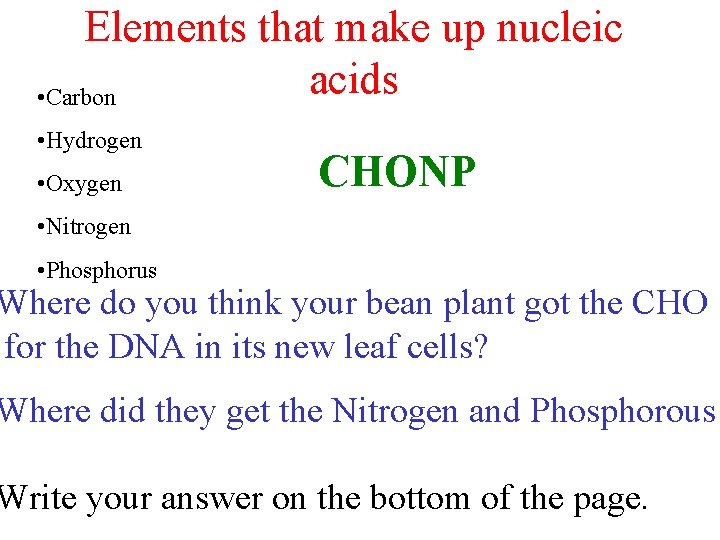 Elements that make up nucleic acids • Carbon • Hydrogen • Oxygen CHONP •