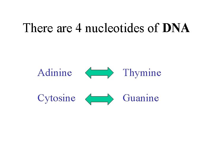 There are 4 nucleotides of DNA Adinine Thymine Cytosine Guanine 