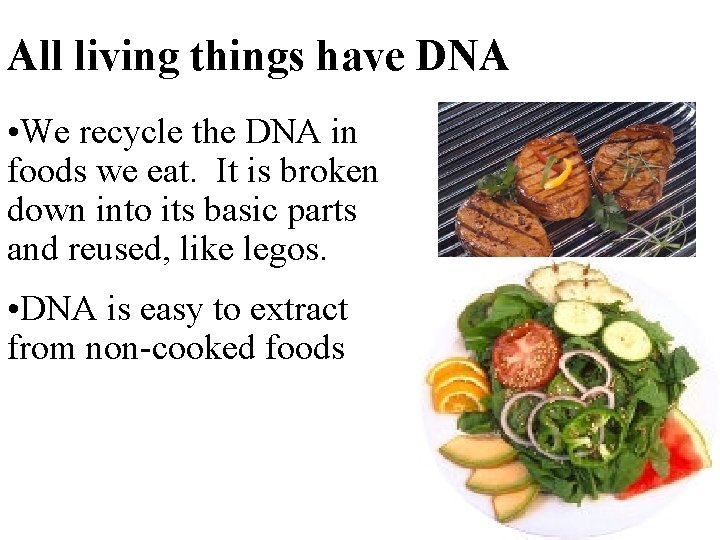 All living things have DNA • We recycle the DNA in foods we eat.