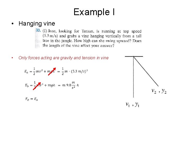 Example I • Hanging vine • Only forces acting are gravity and tension in