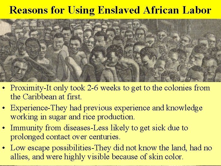 Reasons for Using Enslaved African Labor • Proximity-It only took 2 -6 weeks to