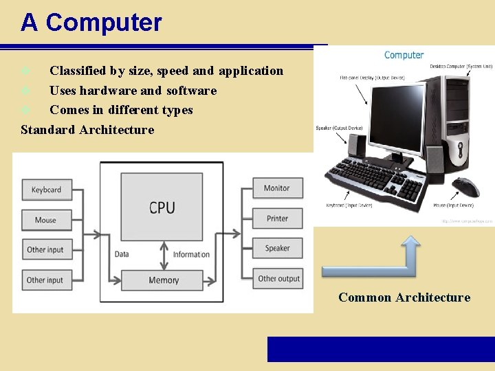 A Computer Classified by size, speed and application v Uses hardware and software v