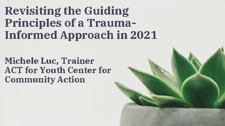 Revisiting the Guiding Principles of a Trauma. Informed Approach in 2021 Michele Luc, Trainer Revisiting the Guiding Principles of a Trauma. Informed Approach in 2021 Michele Luc, Trainer